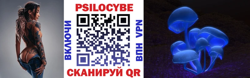 где можно купить   Сухиничи  Галлюциногенные грибы ЛСД 